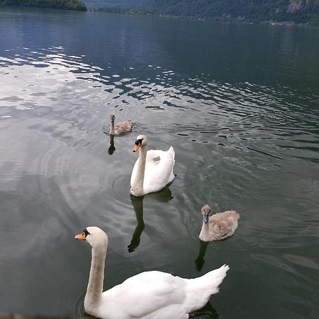 Appartement Emilia Hallstatt Exterior foto