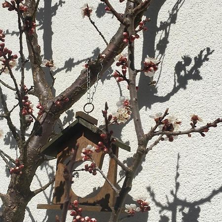 Appartement Emilia Hallstatt Exterior foto
