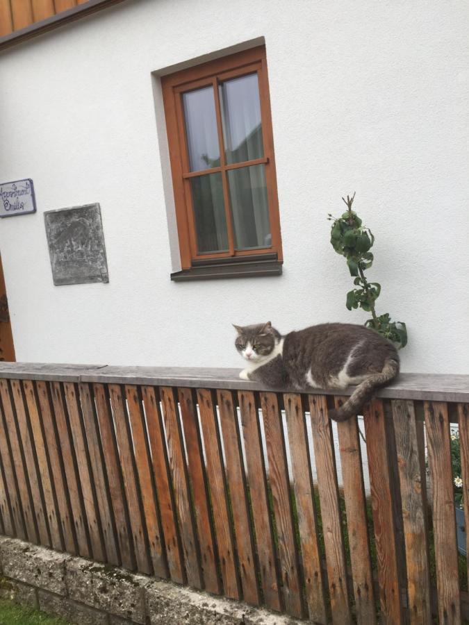 Appartement Emilia Hallstatt Exterior foto
