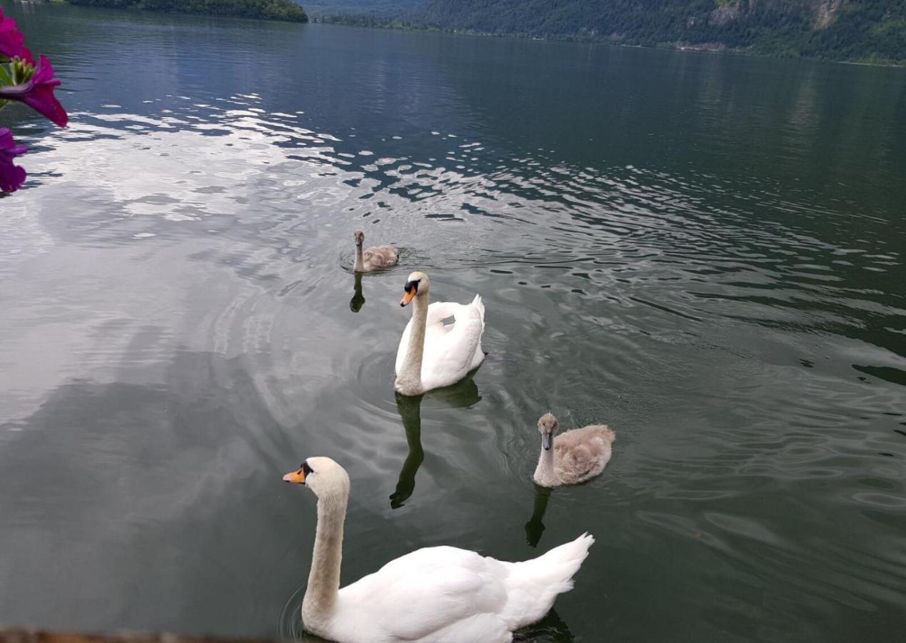 Appartement Emilia Hallstatt Exterior foto