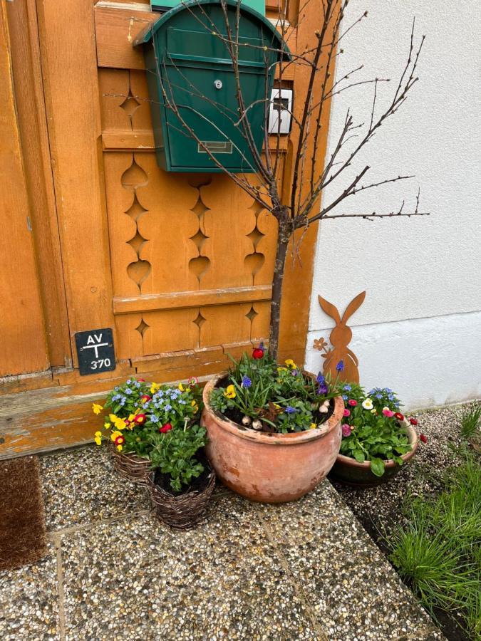 Appartement Emilia Hallstatt Exterior foto